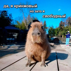 Аватар Сафронов Сергей